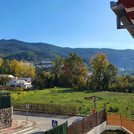 La Casa Del Bosque *